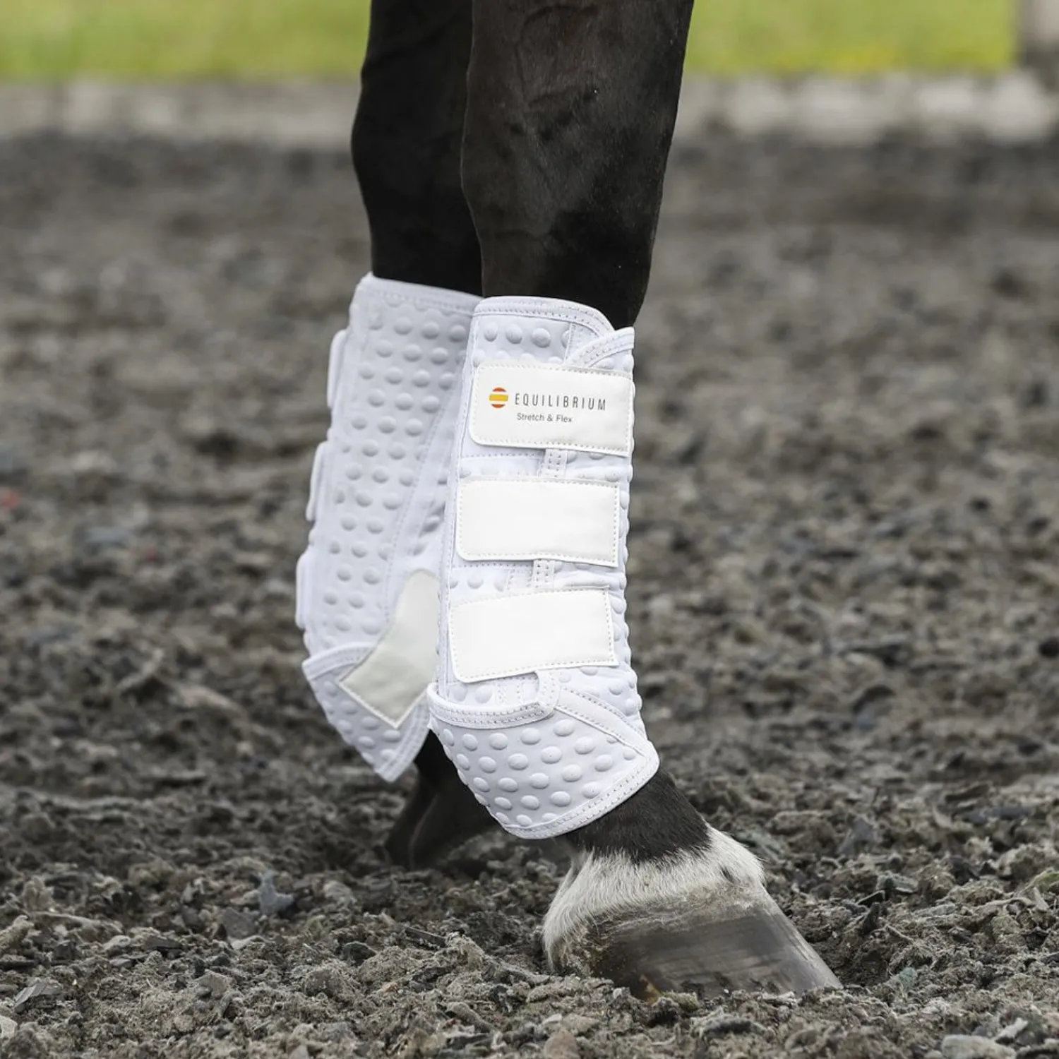 Sale WORLD EQUSTRN BRNDS Equilibrium Stretch & Flex Training Wraps