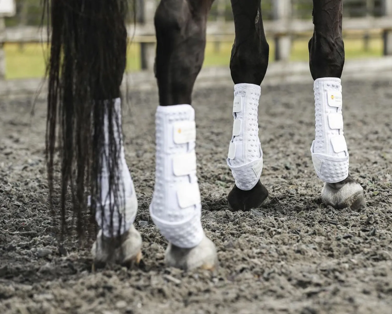 Sale WORLD EQUSTRN BRNDS Equilibrium Stretch & Flex Training Wraps