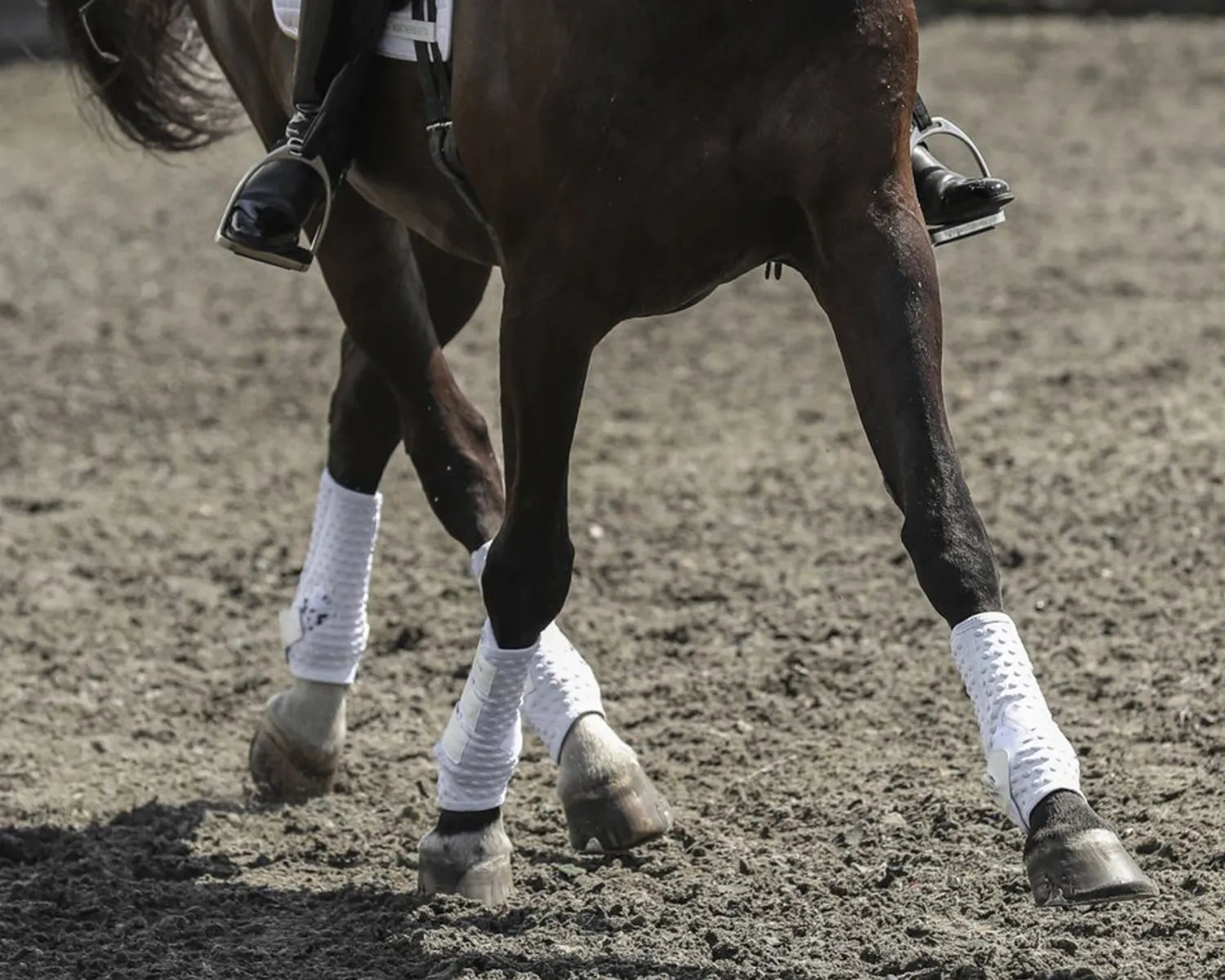 Sale WORLD EQUSTRN BRNDS Equilibrium Stretch & Flex Training Wraps