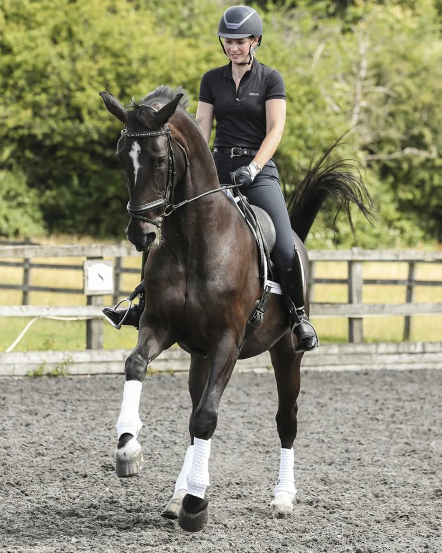 Sale WORLD EQUSTRN BRNDS Equilibrium Stretch & Flex Training Wraps