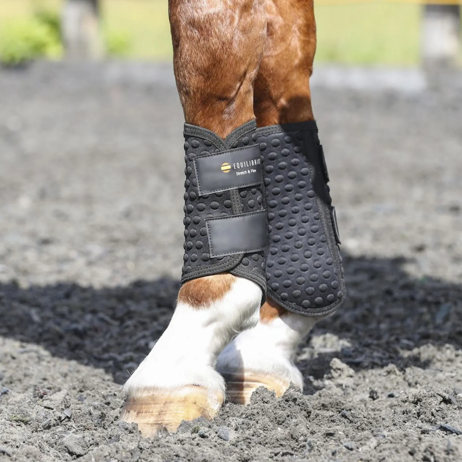 New WORLD EQUSTRN BRNDS Equilibrium Stretch & Flex Flatwork Wraps