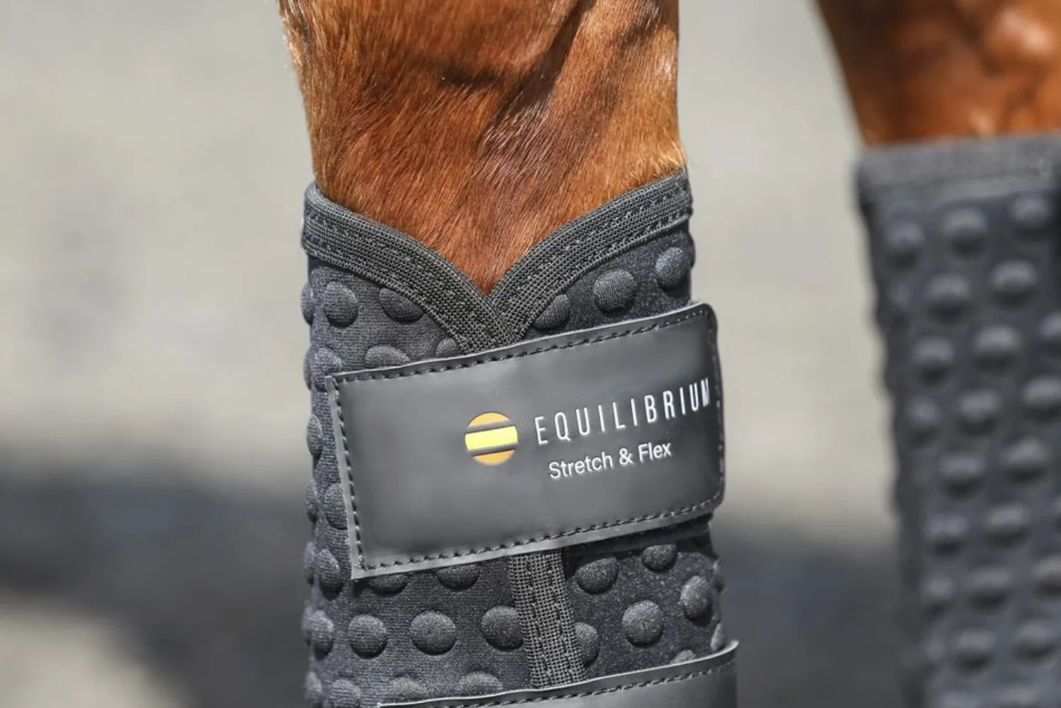 New WORLD EQUSTRN BRNDS Equilibrium Stretch & Flex Flatwork Wraps