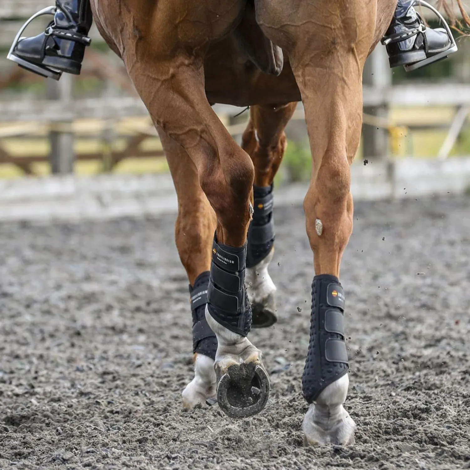 New WORLD EQUSTRN BRNDS Equilibrium Stretch & Flex Flatwork Wraps