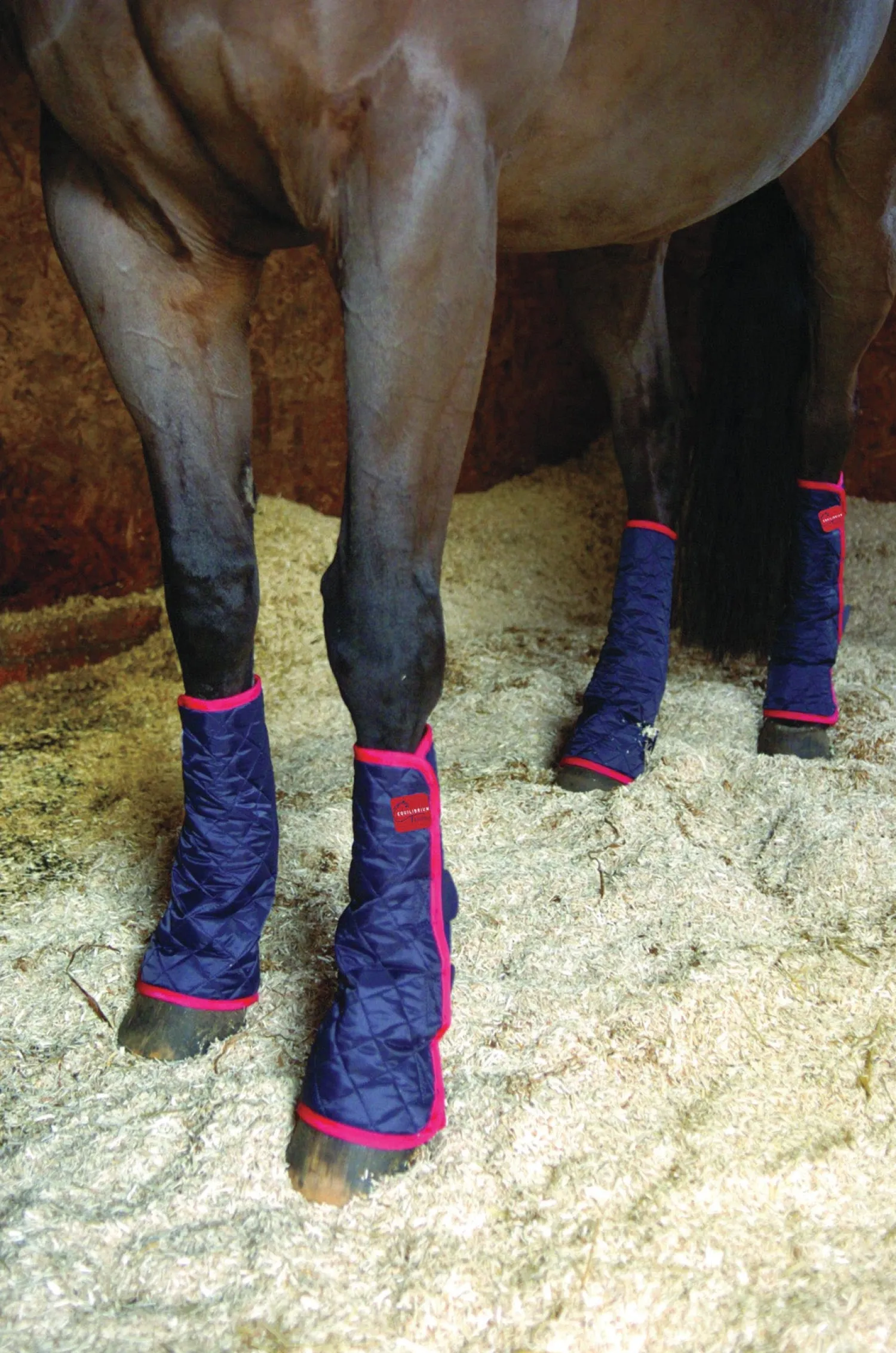 Hot WORLD EQUSTRN BRNDS Equilibrium Therapy® Magnetic Chaps