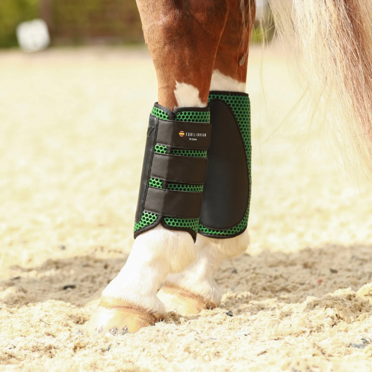 Online WORLD EQUSTRN BRNDS Equilibrium Tri-Zone Impact Hind Boots