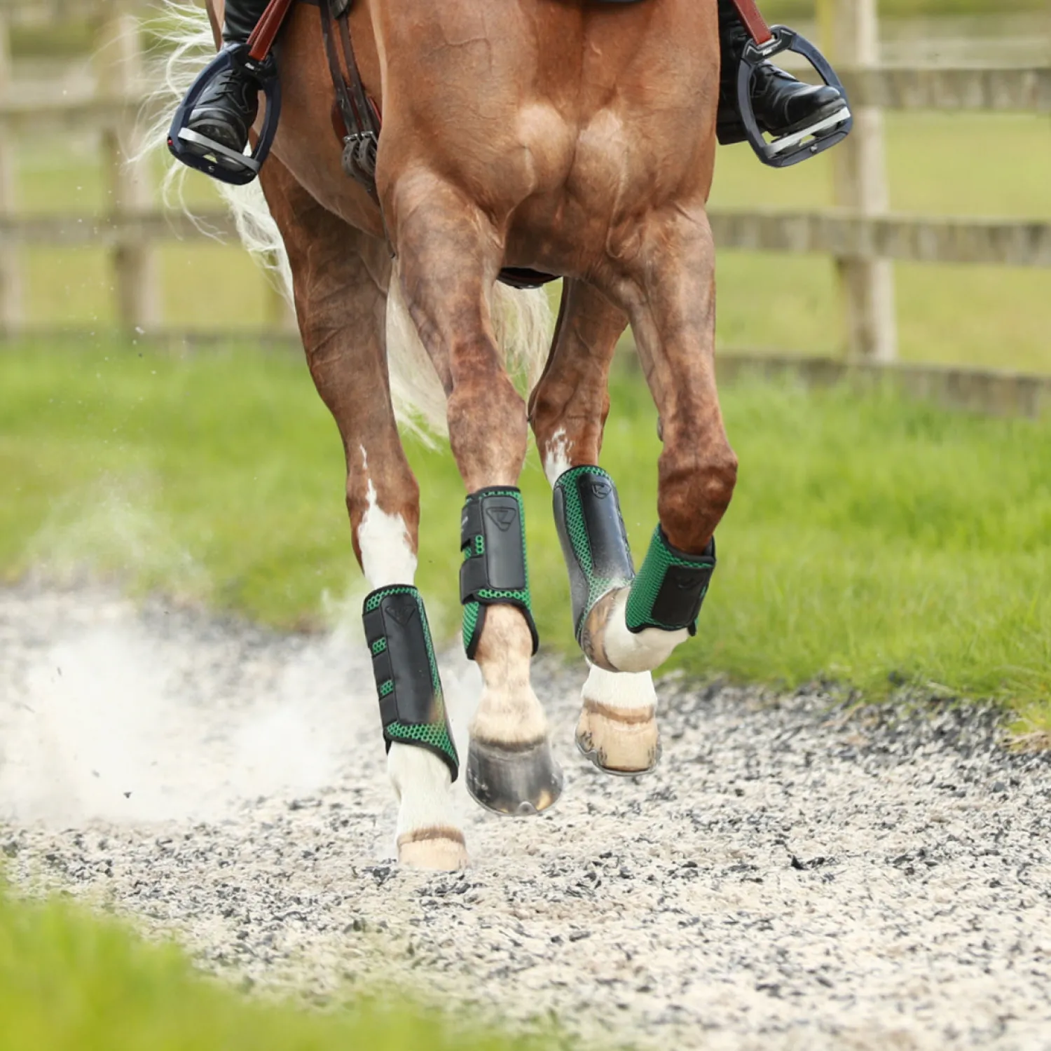 New WORLD EQUSTRN BRNDS Equilibrium Tri-Zone Impact Front Boots