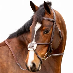 New EQUINAVIA Valkyrie Fancy-Stitched Figure-8 Bridle & Reins Chocolate Brown