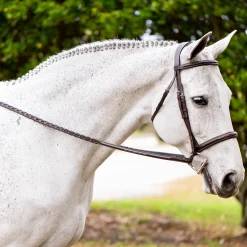 Clearance EQUINAVIA Valkyrie Fancy-Stitched Hunter Bridle & Reins Chocolate Brown