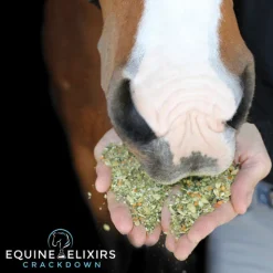 Clearance EQUINE ELIXIRS INC Equine Elixirs Crackdown®