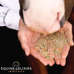 New EQUINE ELIXIRS INC Equine Elixirs Immunox®