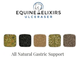 Clearance EQUINE ELIXIRS INC Equine Elixirs Ulceraser®