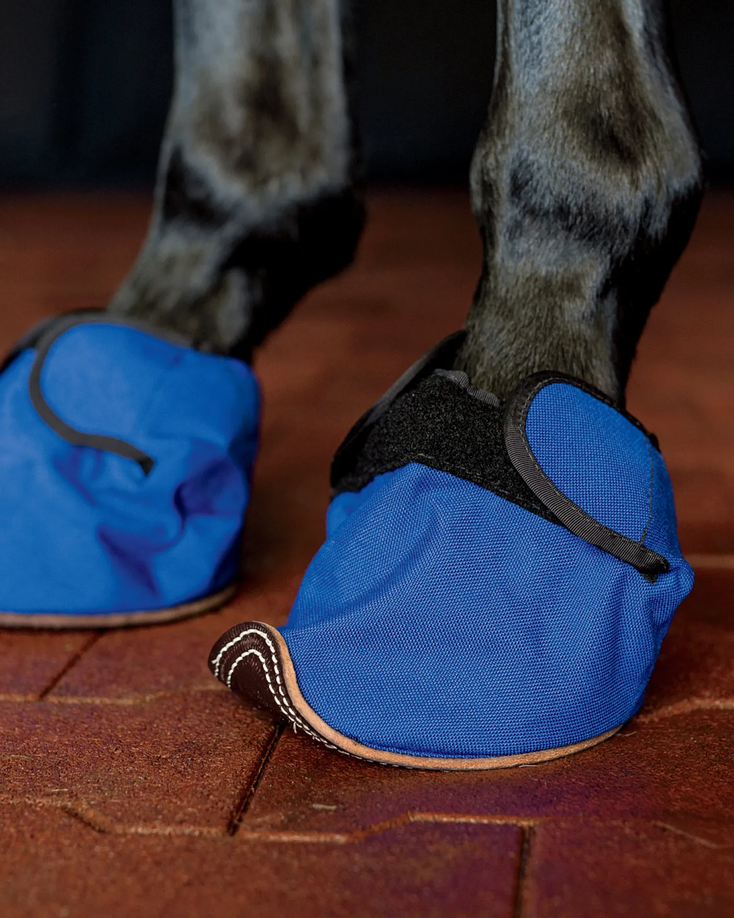 BLUEGRASS ANIMAL Equine Slipper® Horse Boot