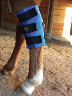 Sale EZ ICE Hock Wrap