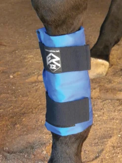 Online EZ ICE Tendon Wrap