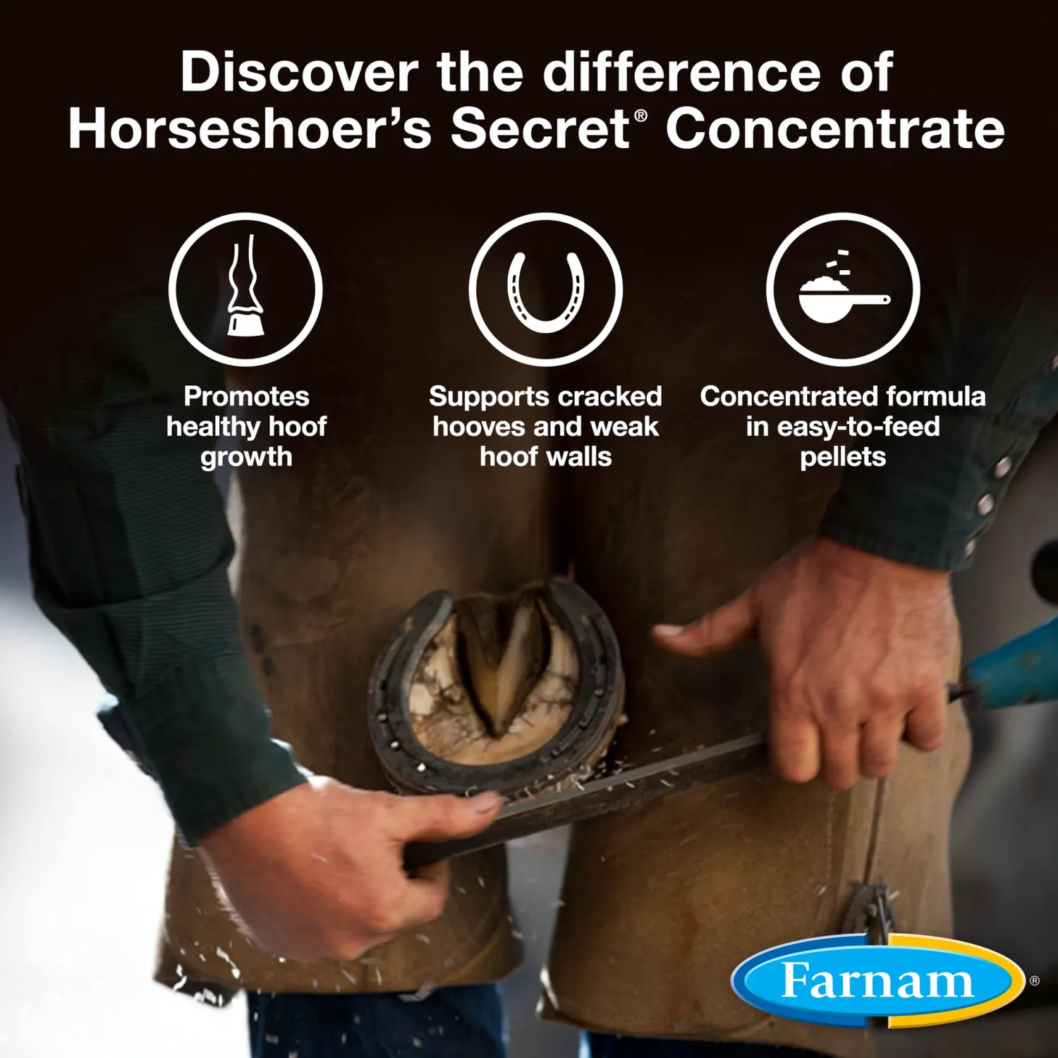 Sale ANIMAL HEALTH INT Farnam® Horseshoer’s Secret® Concentrate Pelleted Hoof Supplement