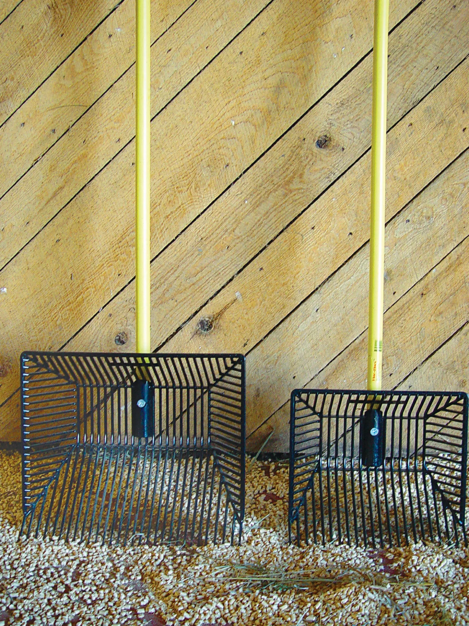 Outlet A-PLUS EQUINE Fine Tines™ Fork