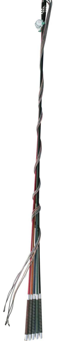 Outlet FLECK GMBH CO Fleck® Color Lunge Whip