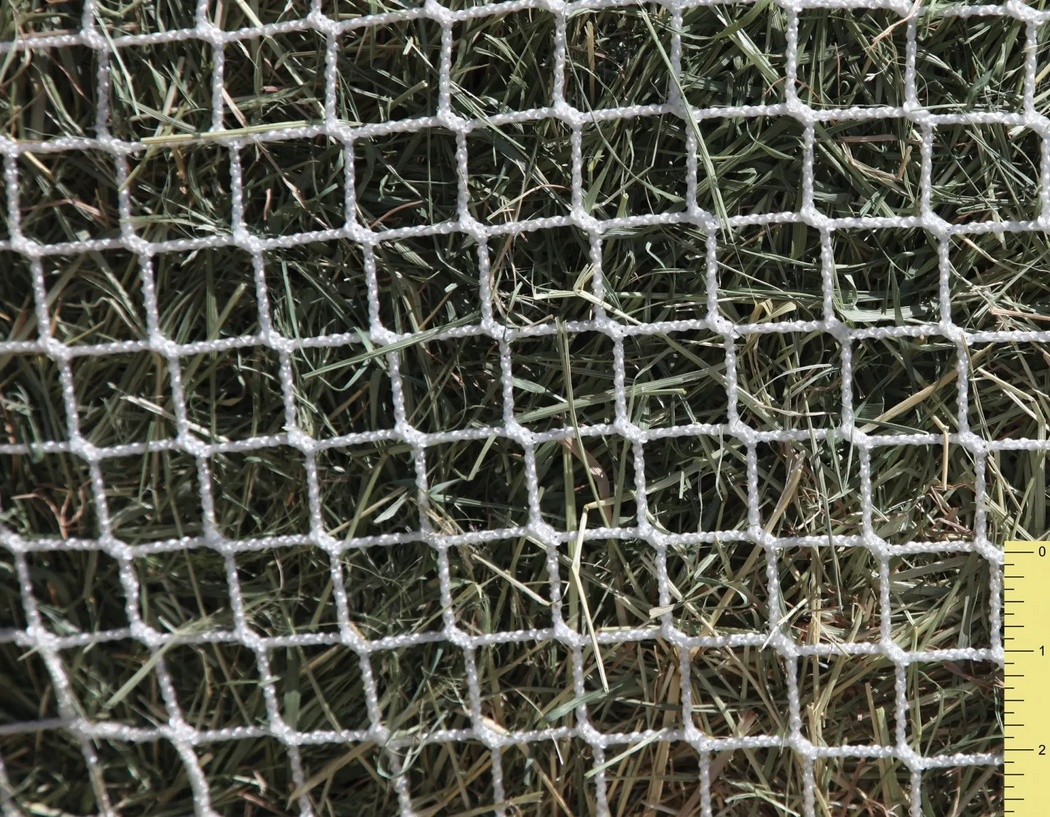 KENSINGTON Freedom Feeder® Extended Day Net - 1"