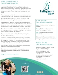 Clearance EQUESTRIBEV Gallagher’s Water™ All-Natural Equine Hydration Beverage, 12 Sachets
