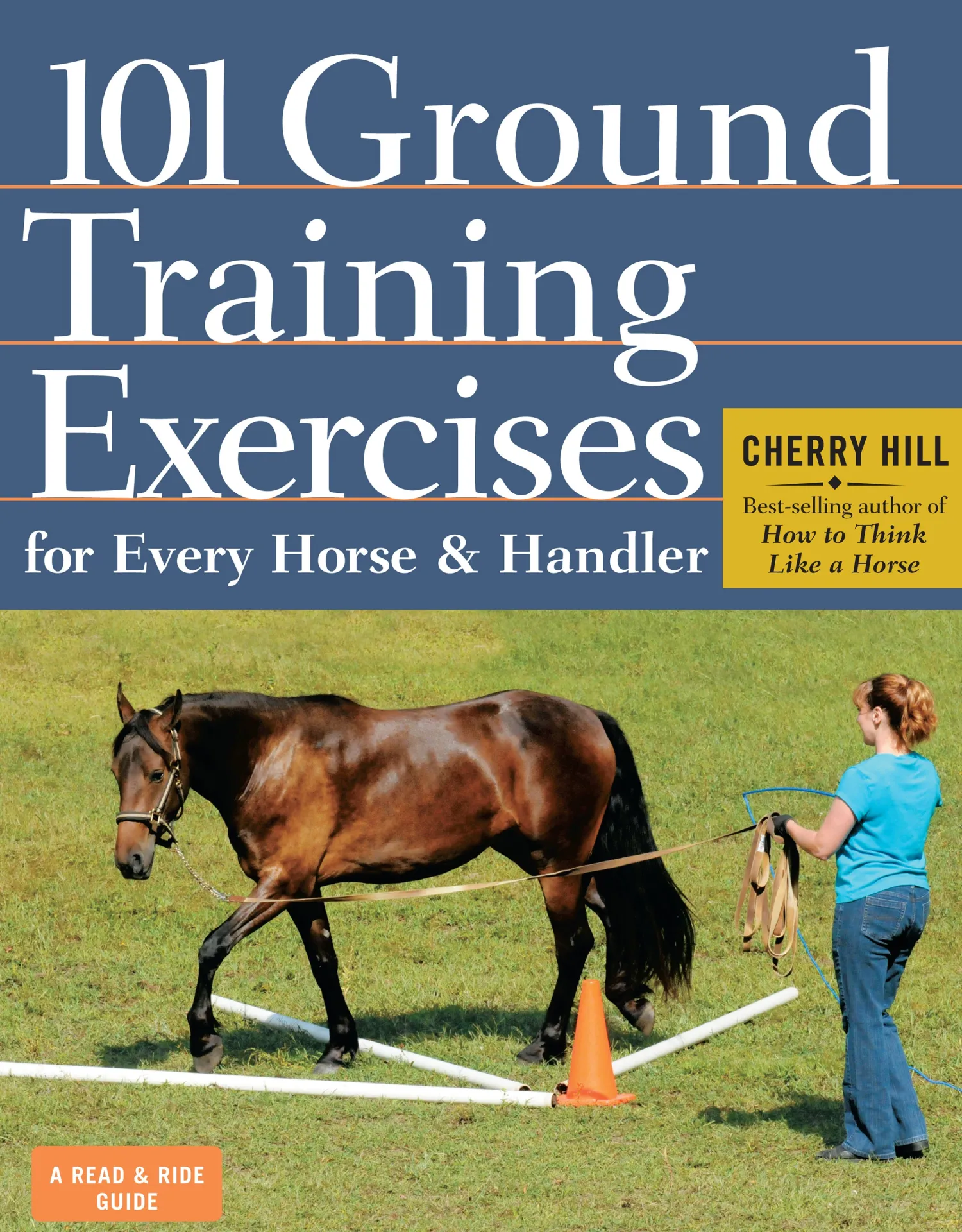 Clearance HACHETTE BOOK GROUP Ground Training Exercises
