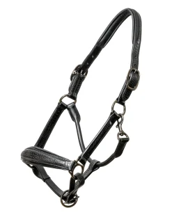 Hot HALTER EGO ® Doc Marten Padded Halter Black