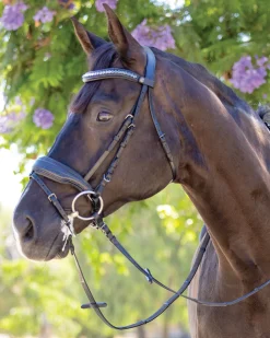 New HALTER EGO ® Doc Marten Snaffle Bridle Black