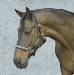 Discount JPC EQUESTRIAN HDR Padded Jewel Halter