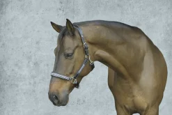 Discount JPC EQUESTRIAN HDR Padded Jewel Halter