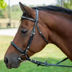 Hot JPC EQUESTRIAN Henri de Rivel Clincher Bridle Black