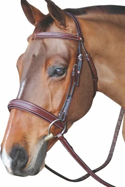 JPC EQUESTRIAN Henri de Rivel Mono Crown Bridle with Padded Wide Noseband