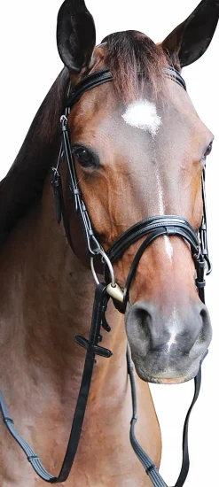 Online JPC EQUESTRIAN Henri de Rivel Piaffe Mono Crown Bridle with Flash Noseband & Patent Leather