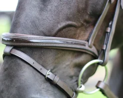 Online JPC EQUESTRIAN Henri de Rivel Piaffe Mono Crown Bridle with Flash Noseband & Patent Leather