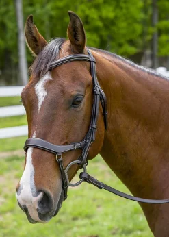 Discount JPC EQUESTRIAN Henri de Rivel Pro Anatomical Bridle