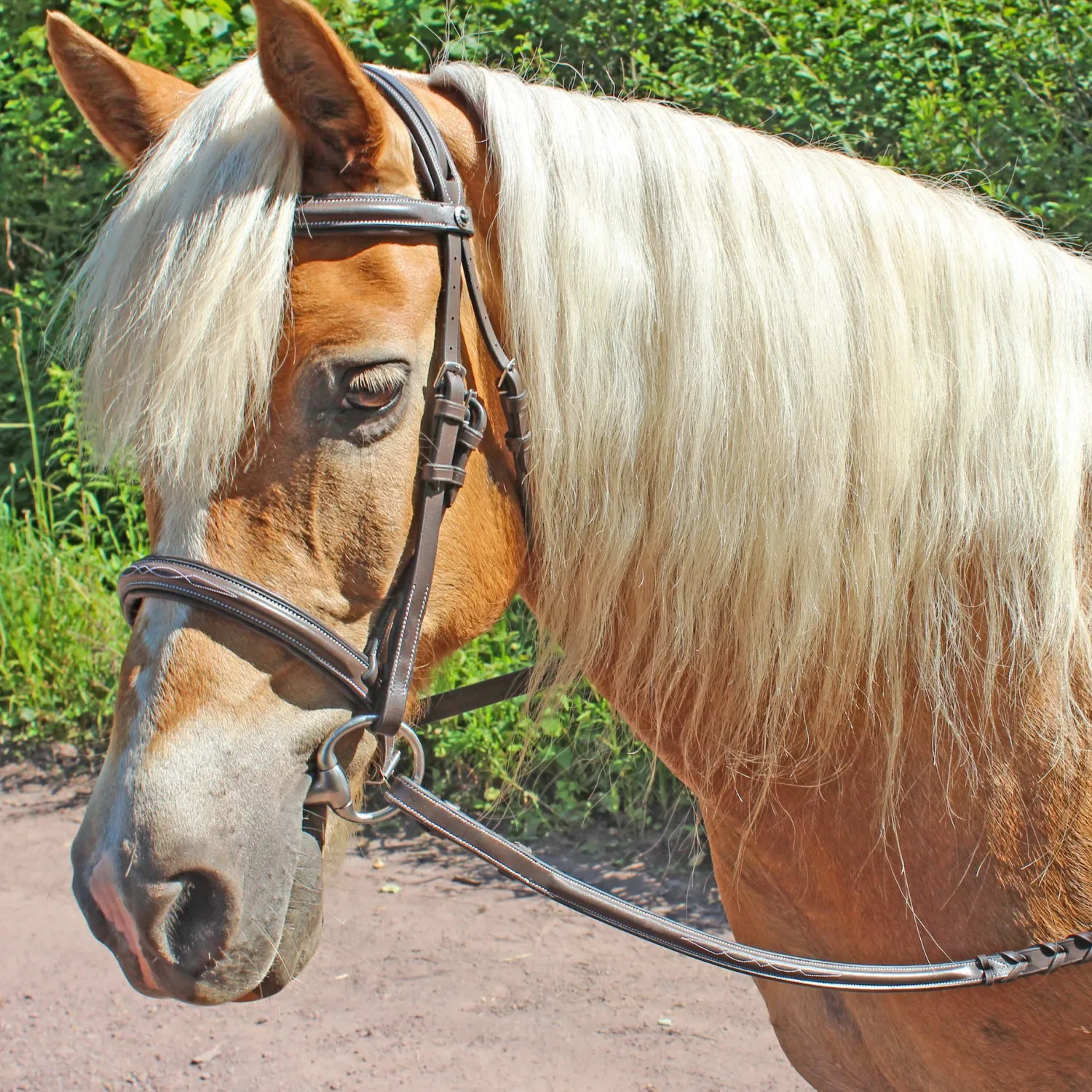 Hot JPC EQUESTRIAN Henri de Rivel Pro Fancy Raised Comfort Crown Padded Bridle with Fancy Raised Reins