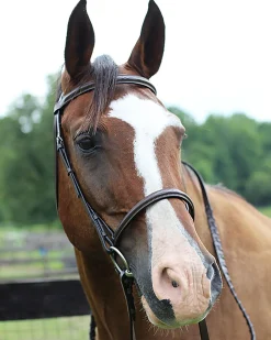 Online JPC EQUESTRIAN Henri de Rivel Pro Fancy Raised Bridle with Laced Reins