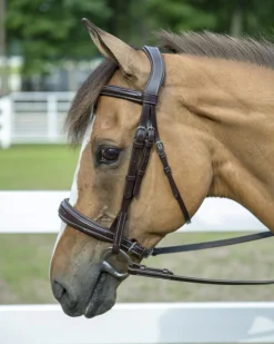 Best JPC EQUESTRIAN Henri de Rivel Pro Mono Crown Padded Wide Noseband Bridle Havana