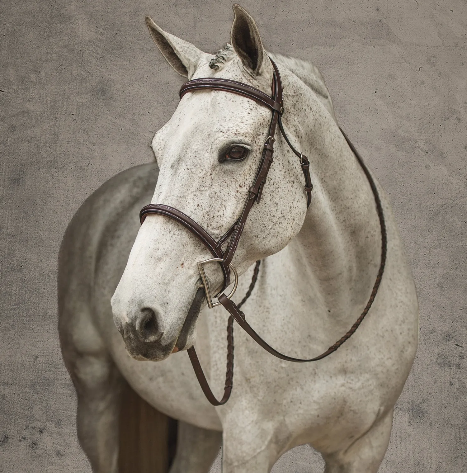 Clearance JPC EQUESTRIAN Henri de Rivel Pro Mono Crown Fancy-Stitched Padded Bridle with Laced Reins