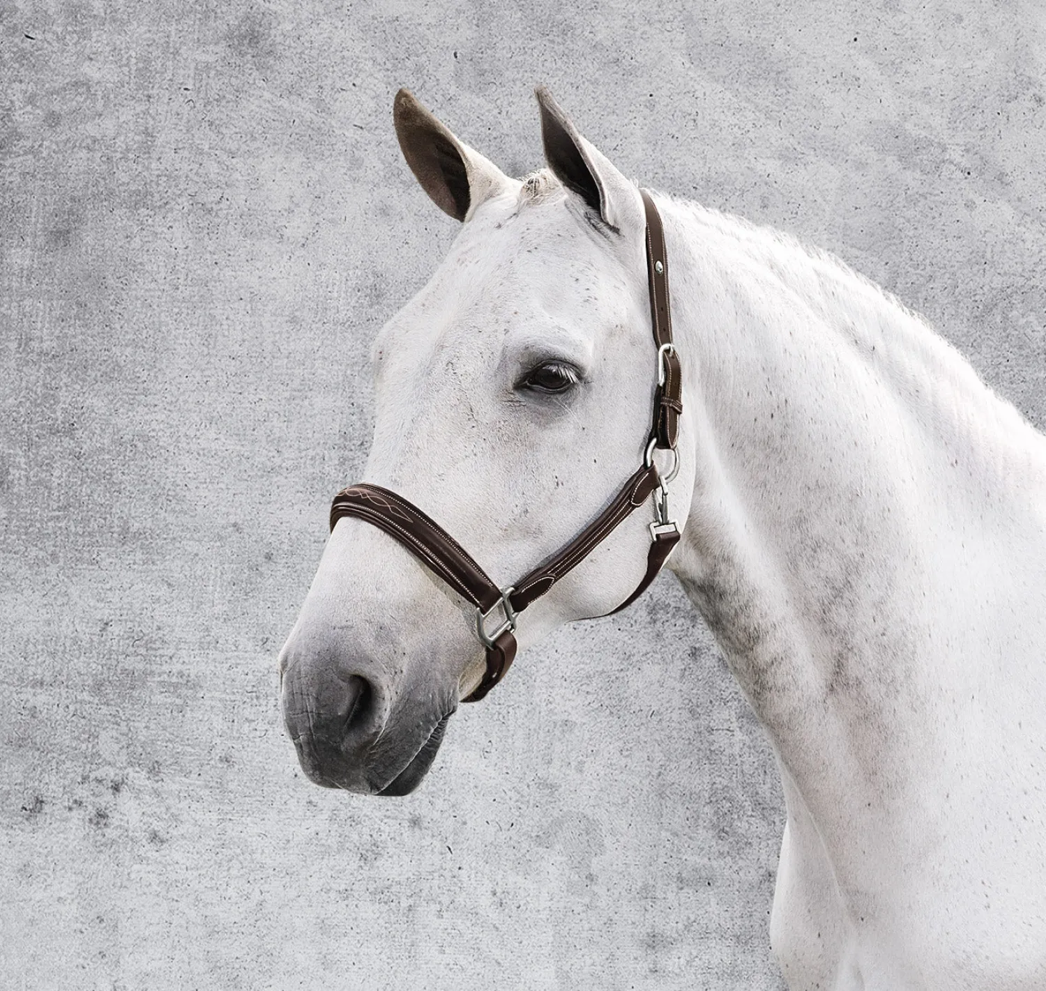 JPC EQUESTRIAN Henri de Rivel Stress Free Halter with Fancy Contrast Stitching
