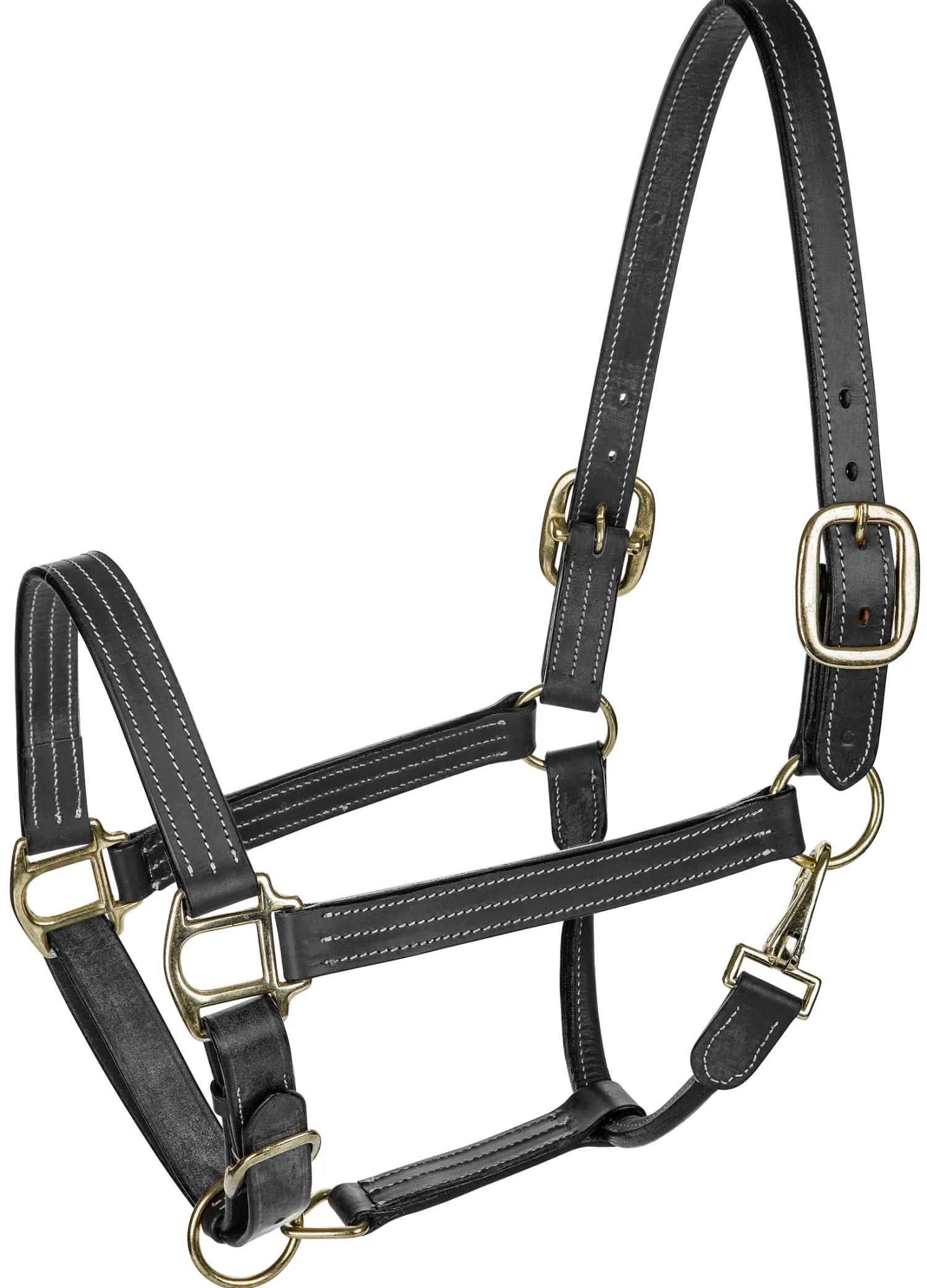 Sale JPC EQUESTRIAN Henri de Rivel Triple-Stitched Halter