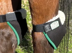 Clearance CLICK HORSE PRODUCTS Hock Shield