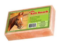 Hot ANIMAL HEALTH INT Horsemen’s Pride™ Jolly Salt Snack Brick
