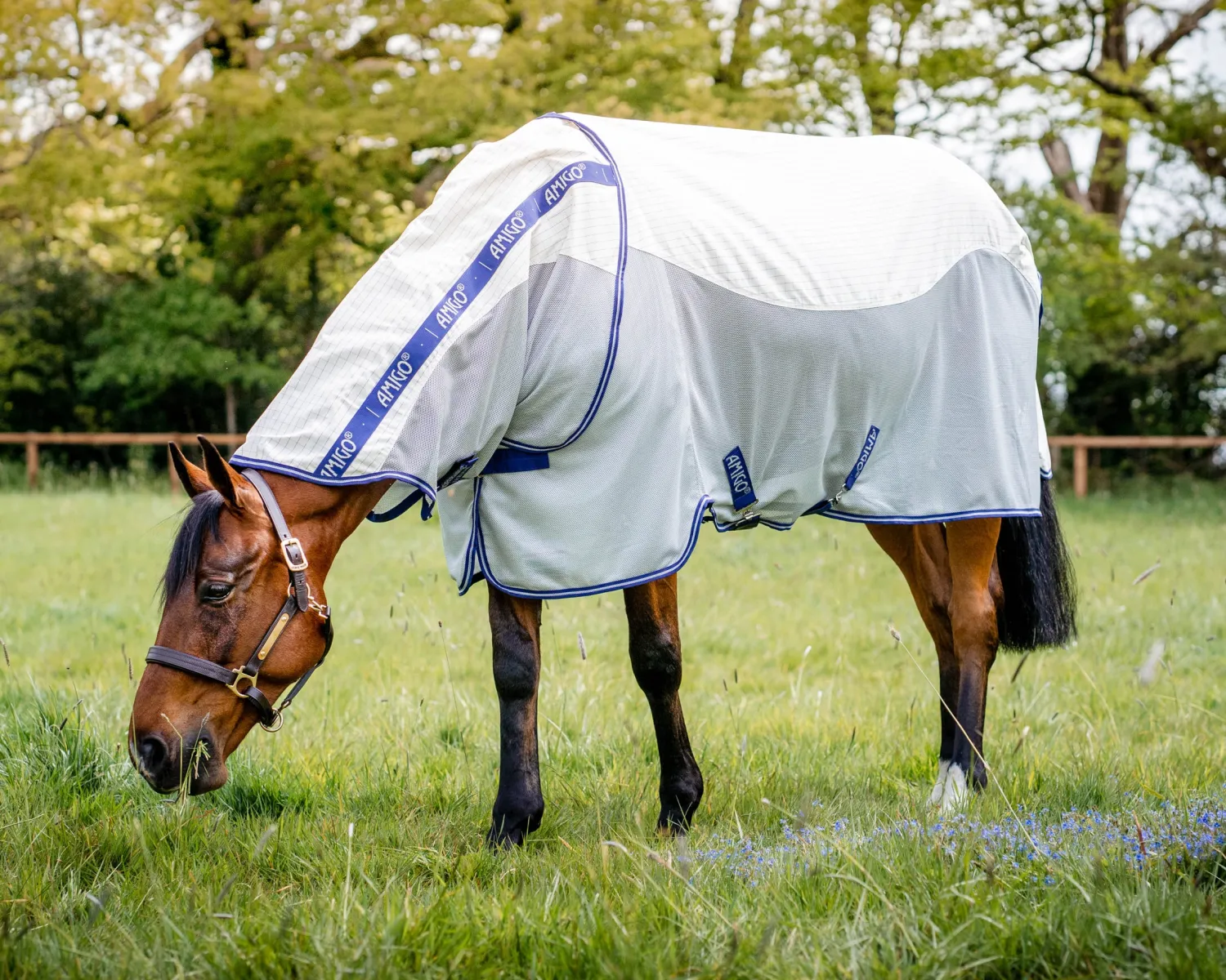 Outlet HORSEWARE ® Amigo® Airflow Sheet