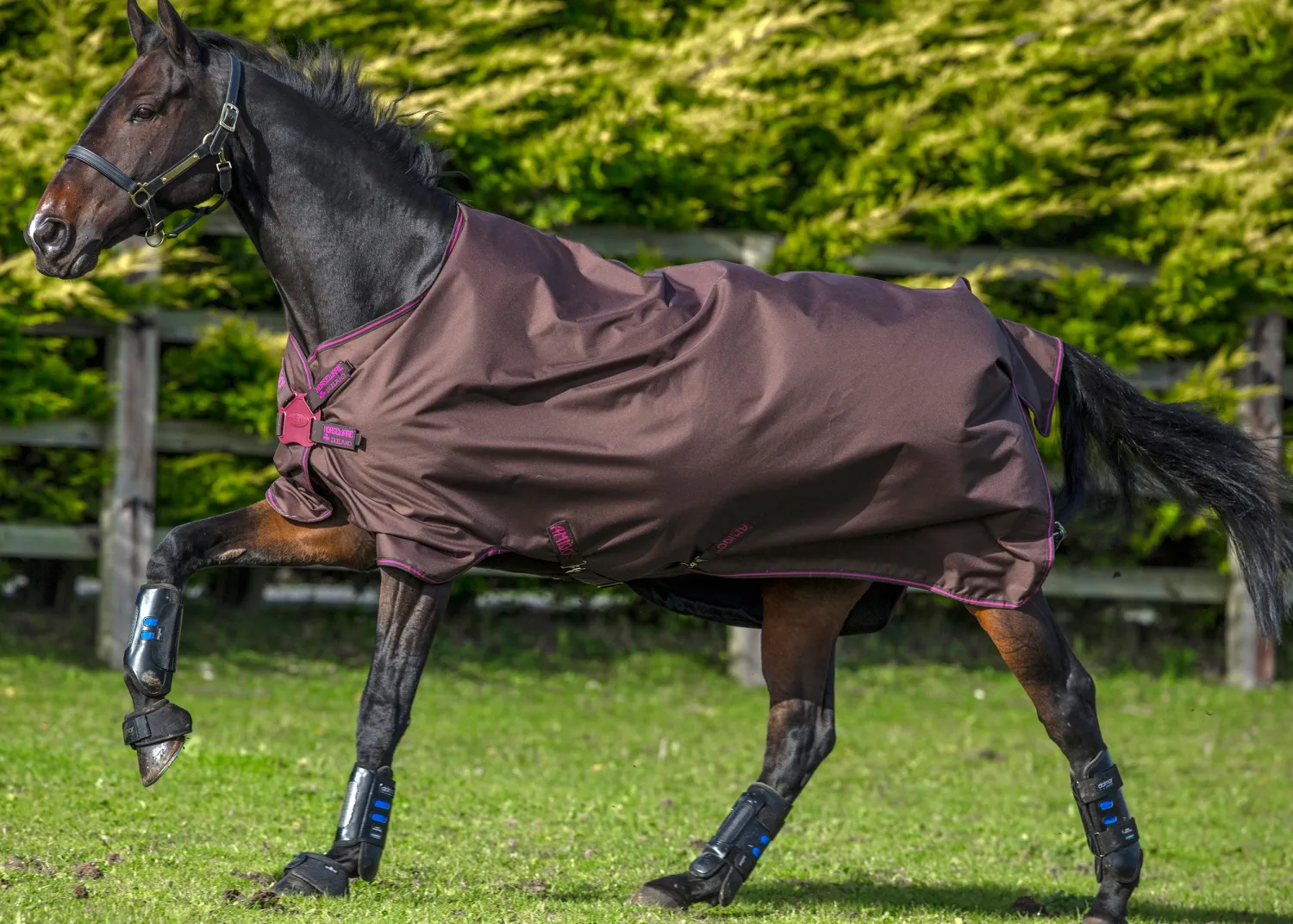Best HORSEWARE ® Amigo® Hero 900 Lite Net Lined Turnout with Disc Front