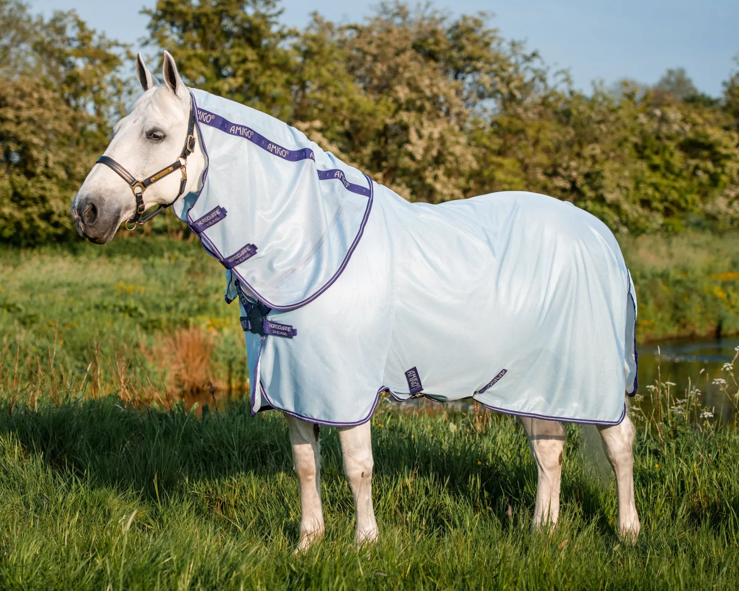 Hot HORSEWARE ® Amigo® XL Bug Rug