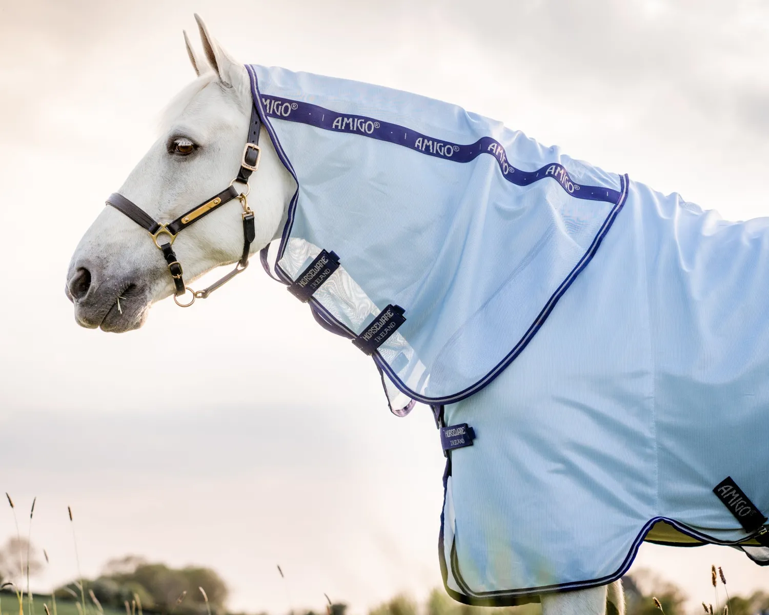 Hot HORSEWARE ® Amigo® XL Bug Rug