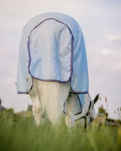Hot HORSEWARE ® Amigo® XL Bug Rug