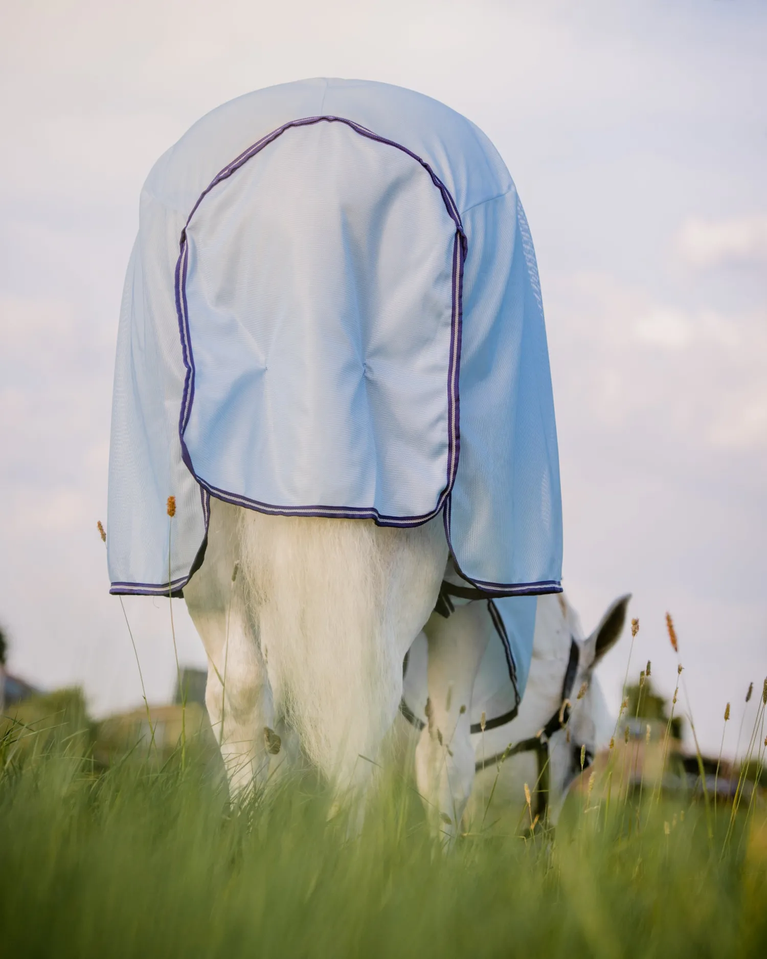Hot HORSEWARE ® Amigo® XL Bug Rug