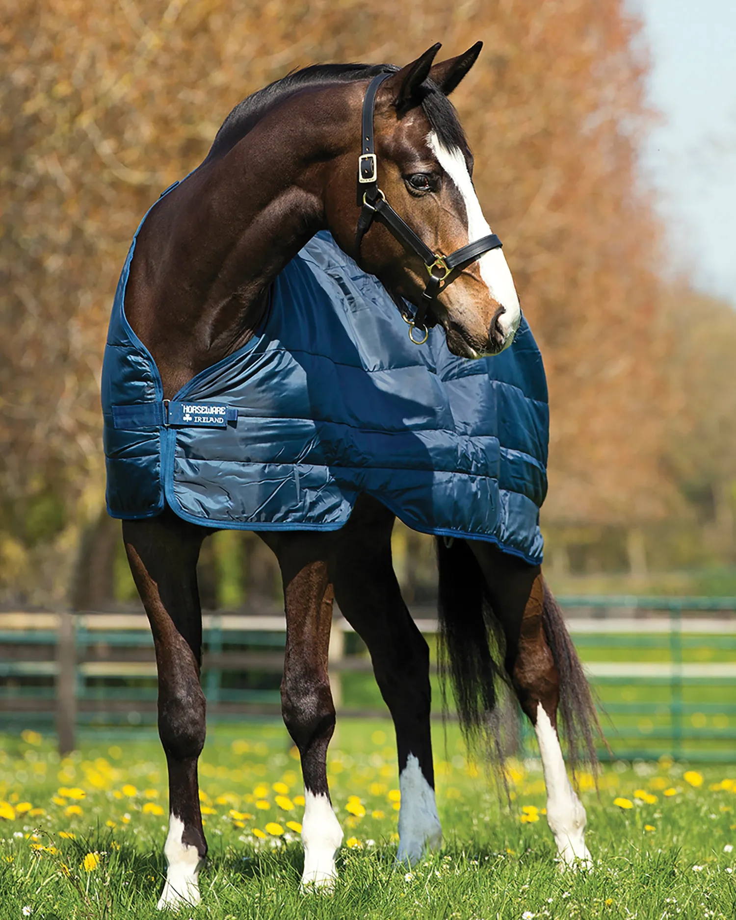 Online HORSEWARE ® Ireland 200 Gram Blanket Liner Navy/Navy