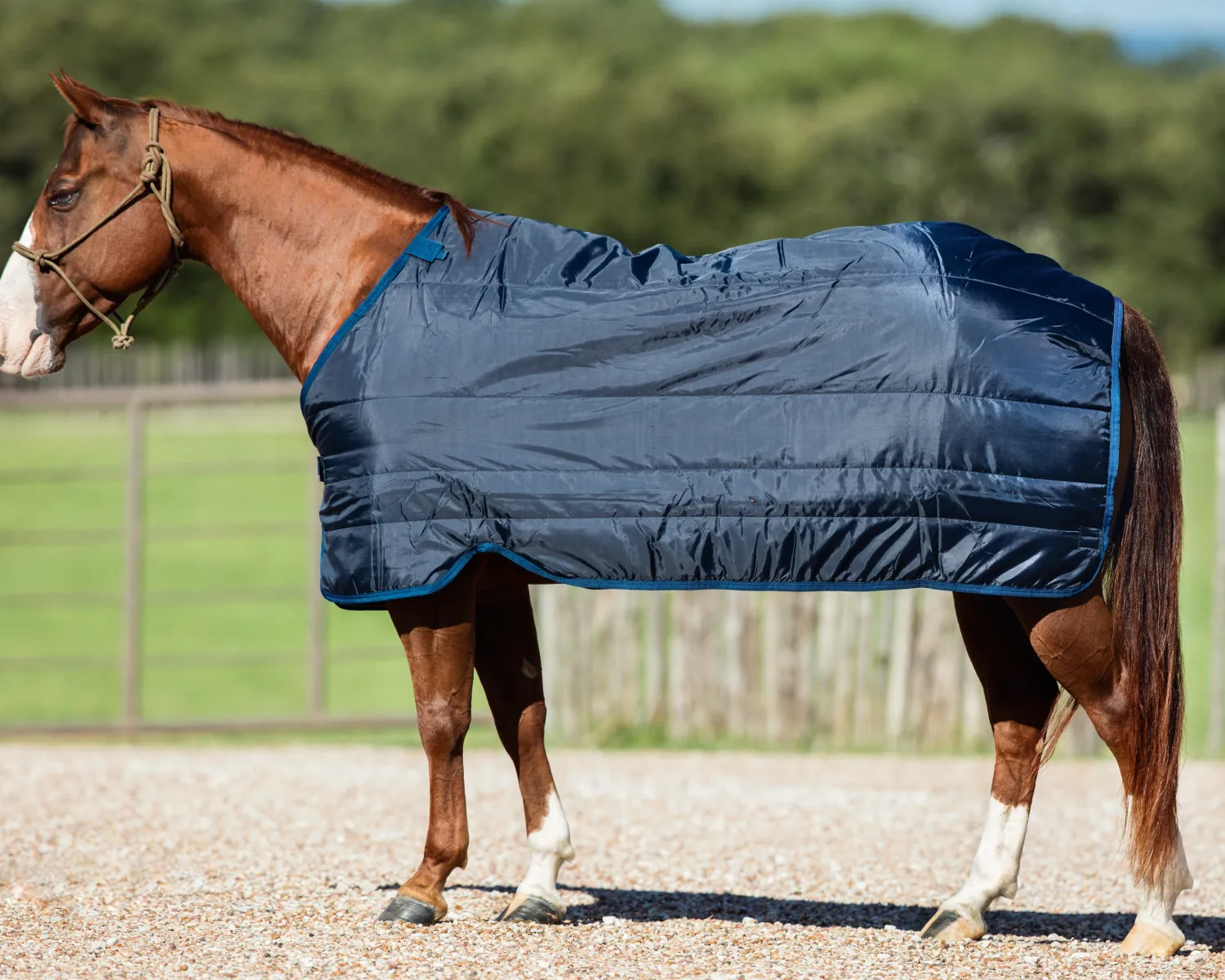 HORSEWARE ® Ireland 400 Gram Blanket Liner Navy/Navy