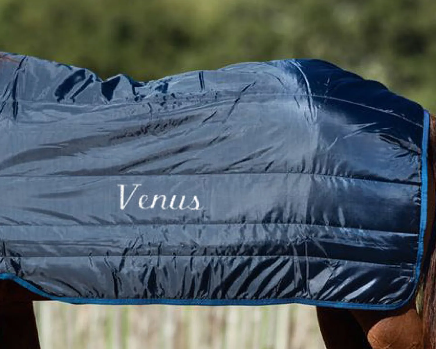 HORSEWARE ® Ireland 400 Gram Blanket Liner Navy/Navy
